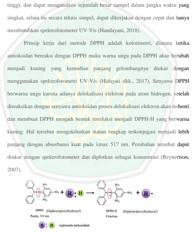 Gambar 2.3 Reaksi DPPH dengan  Antioksidan (Liang dan Kitss, 2014) 