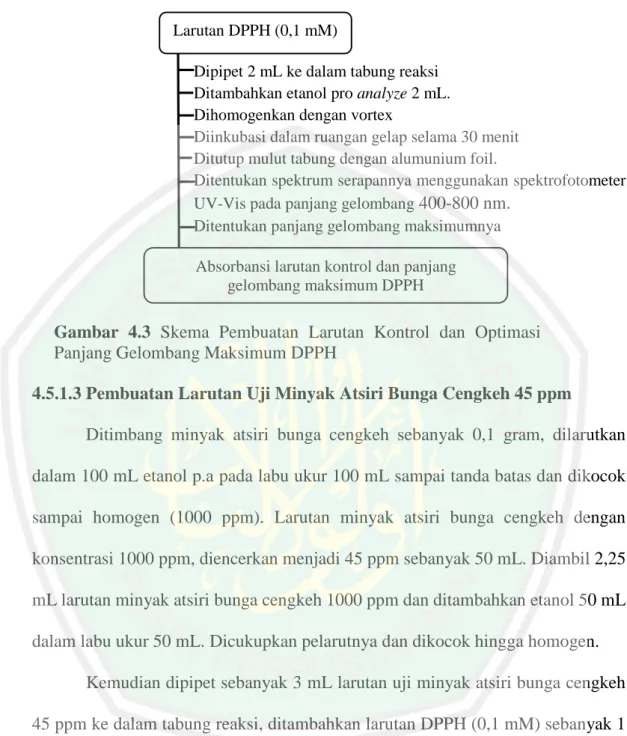 Gambar  4.3  Skema  Pembuatan  Larutan  Kontrol  dan  Optimasi  Panjang Gelombang Maksimum DPPH 