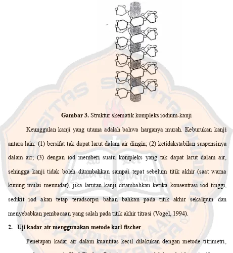 Gambar 3. Struktur skematik kompleks iodium-kanji