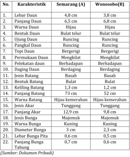 Tabel  4.2  Hasil  Pengamatan  Morfologi  TumbuhanSphagneticola  trilobata  (L.)  Pruski  di  Semarang dan di Wonosobo 