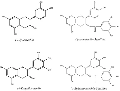 Gambar 1. Struktur epicatechin, epicatechin-3-gallat, epigallocatechin,danepigallocatechin-3-gallat ( Svobodova, Psotova dan Walterova, 2003)  