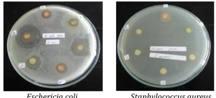 Tabel 1. Bioaktivitas Bioaktivitas Antibakteri Ekstrak Mangrove A. marina dan        B