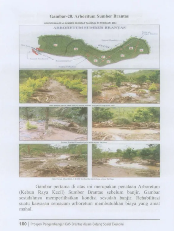 Gambar  pertama  di  atas  ini  merupakan  penataan  Arboretum  (Kebun  Raya  Kecil)  Sumber  Brantas  sebelum  banjir