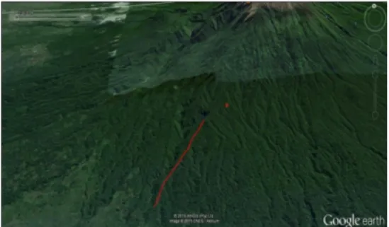 Gambar  1.  Lokasi  Pengambilan  Spesimen  Tumbuhan  Paku  pada  Jalur  Pendakian  Gunung  Raung  ditandai  dengan garis merah 
