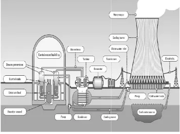 Figure 5. Nuclear power Source www.nuclear-ower plant -power.net 