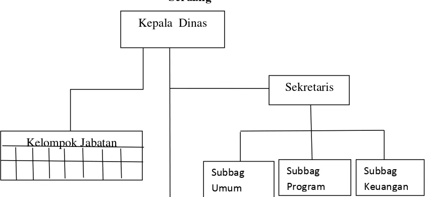 Gambar 1. Struktur Organisasi Dinas Perikanan Dan Kelautan Deli 