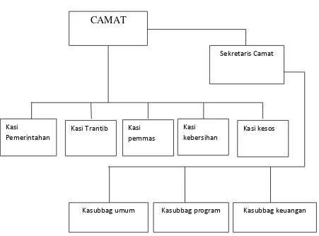 Gambar 2. Struktur Organisasi Kecamatan Pantai Labu 