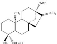 Gambar 2.  Struktur Steviol Glycoside 
