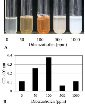 Gambar  1.  Kemampuan  degradasi  isolat  LBF-1-0061  dalam  mendegradasi  dibenzotiofen  dengan  metode  sublimasi