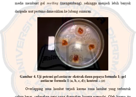 Gambar 4. Uji potensi gel antiacne ekstrak daun pepaya formula 1; gel 