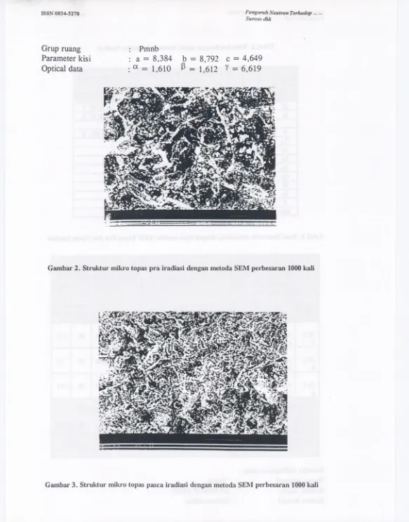 Gambar 2. Struktur mikro tapas pra iradiasi dengan metoda SEM perbesaran