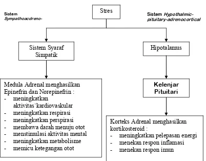 Gambar 4. Hubungan Stres dengan Sistem Endokrin (Bishop, 1994)