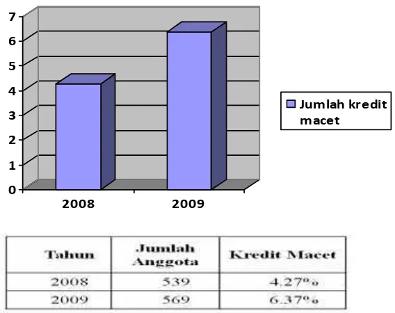 Gambar 1 Grafik Debitur Tahun 2008 dan 2009
