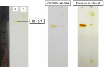 Gambar 3. Profil KLT identifikasi golongan senyawa terpenoid menggunakan KLT :  ekstrak  etanol 96 %  daun    A