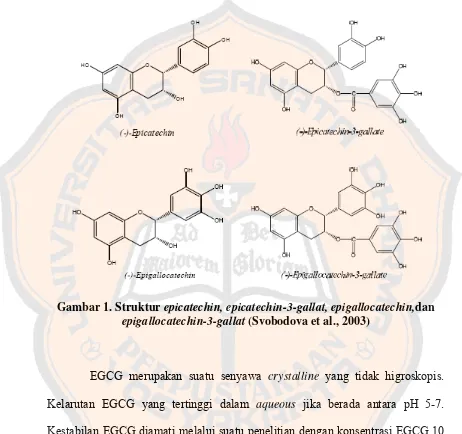 Gambar 1. Struktur epicatechin, epicatechin-3-gallat, epigallocatechin,dan 