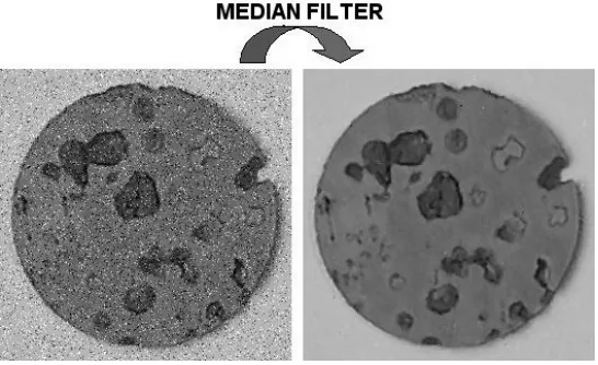Gambar 2.28 . Hasil median filtering 
