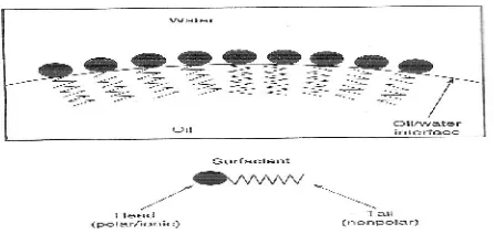 Gambar 3. Emulsifier pada antarmuka air dan minyak (Prokai et al., 2004)