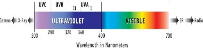 Gambar 5. Penetrasi radiasi sinar dengan panjang gelombang berbeda pada kulit (Mitsui, 1997)
