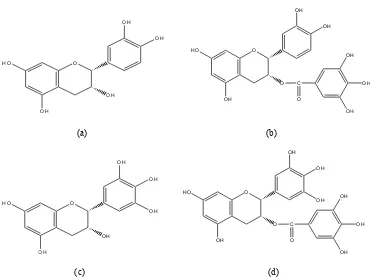 Gambar 6. Perbandingan struktur kimia kuersetin dengan struktur kimia katekin: (a) epikatekin (EC); (b) epikatekin-3-galat (ECG); (c) epigalokatekin (EGC); dan (d) epigalokatekin-3-galat (EGCG) (Svobodova et al., 2003)
