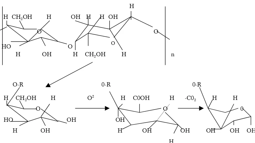 Gambar 5. Mekanisme degradasi selulosa  