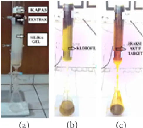 Gambar 1 Proses fraksinasi ekstrak Sargassum sp. dengan kromatografi silika gel kolom     (a) preparasi (b) penambahan n-heksan (c) penambahan larutan n-heksan:aseton        (6:4 v/v).