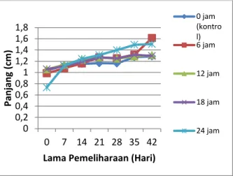Gambar  4.  Laju  pertambahan  panjang  eksplan selama 42 hari. 
