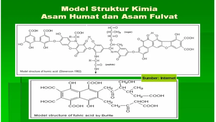 Gambar 1. Struktur kimia asam humat dan asam fulfat 