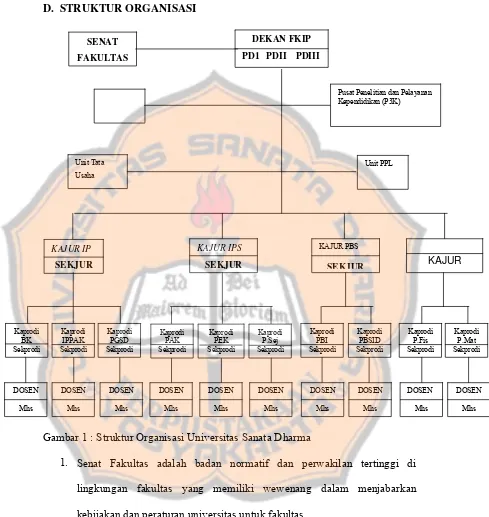 Gambar 1 : Struktur Organisasi Universitas Sanata Dharma 