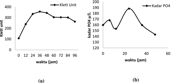 Gambar 1. Hasil analisis akumulasi polifosfat berdasarkan kurva pertumbuhan isolat A671 pada  medium P-uptake (a) dengan mengamati kadar fosfat yang terlarut dalam medium P-uptake (b) yang 