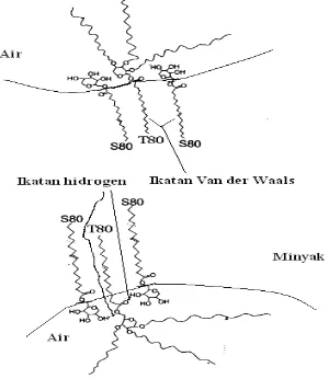 Gambar 17. Interaksi antara span 80 dan tween 80 pada permukaan emulsi A/M (Mollet  and Grubenmann, 2001)  