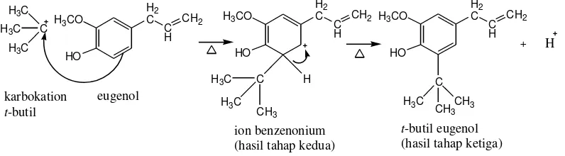 Gambar 15. Reaksi tersier-butil klorida dan besi (III) klorida 