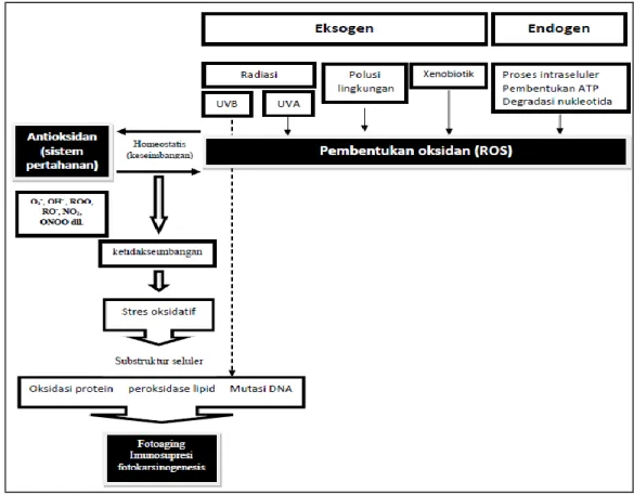 Gambar 3. Pembentukan ROS 4