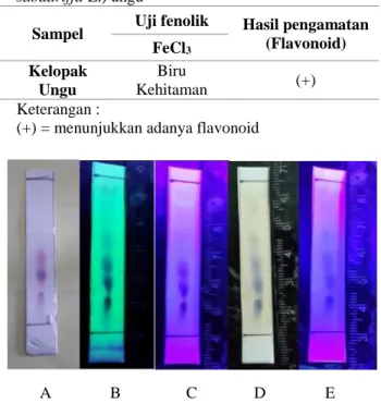 Tabel  1.  Hasil  Uji  Kualitatif  Adanya  Senyawa  Fenolik  ekstrak  etanol  bunga  Rosella  (Hibiscus  sabdariffa L.) ungu 