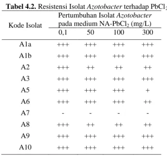 Tabel 4.2. Resistensi Isolat Azotobacter terhadap PbCl 2 