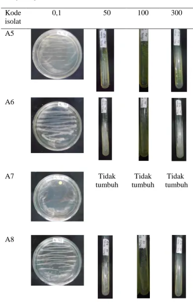 Gambar 4.1. Resistensi Isolat pada Medium NA-PbCl 2
