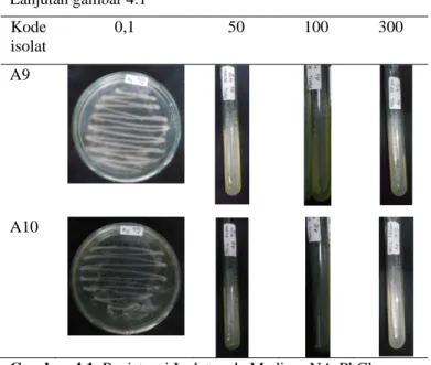Gambar 4.1. Resistensi Isolat pada Medium NA-PbCl 2