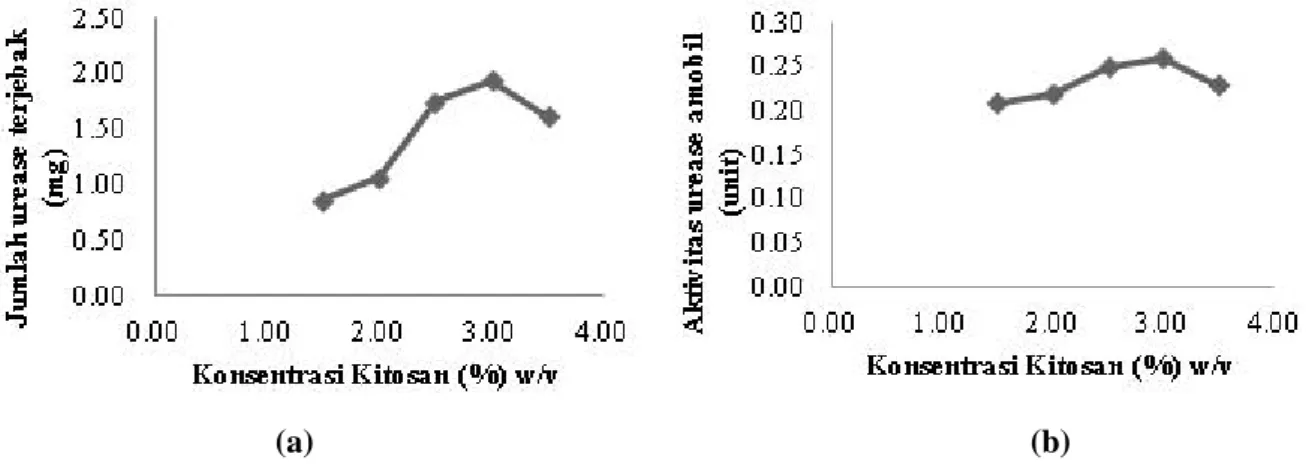 Gambar 1.  (a) Pengaruh konsentrasi kitosan terhadap jumlah urease yang terjebak tiap 0,5  gram manik kitosan-polietilen glikol (b) Pengaruh konsentrasi kitosan terhadap aktivitas  urease amobil pada manik kitosan-polietilen glikol
