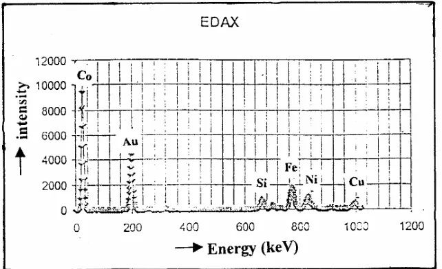 Gambar 3.  Hasil pengamatan multilayer dengan menggunakan EDAX. 