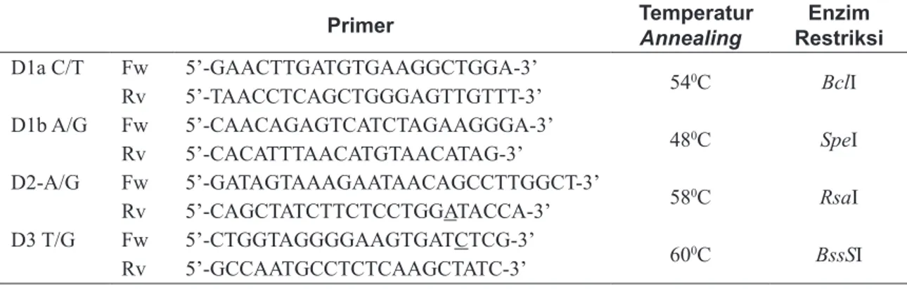 Tabel 1. Kondisi PCR-RLFP 9,13,14 Primer Temperatur  Annealing Enzim  Restriksi D1a C/T Fw 5’-GAACTTGATGTGAAGGCTGGA-3’ 54 0 C BclI Rv 5’-TAACCTCAGCTGGGAGTTGTTT-3’ D1b A/G Fw 5’-CAACAGAGTCATCTAGAAGGGA-3’ 48 0 C SpeI Rv 5’-CACATTTAACATGTAACATAG-3’ D2-A/G Fw 