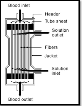 Gambar 6. Capillary dialyzer.24 