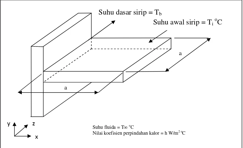 Gambar 1.1 Sirip tak berlubang untuk pengujian kedua