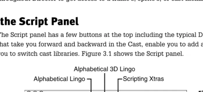 Figure 3.1The Script panel enables you to