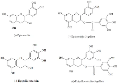 Gambar 1. Struktur (-)-Epicatechin, (-)-Epigallocatechin, (-)-Epicatechin gallate, dan (-)-Epigallocatechin gallate (Svobodova et al., 2003) 