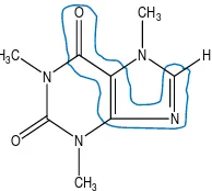 Gambar 6. Gugus kromofor dalam struktur kafein 
