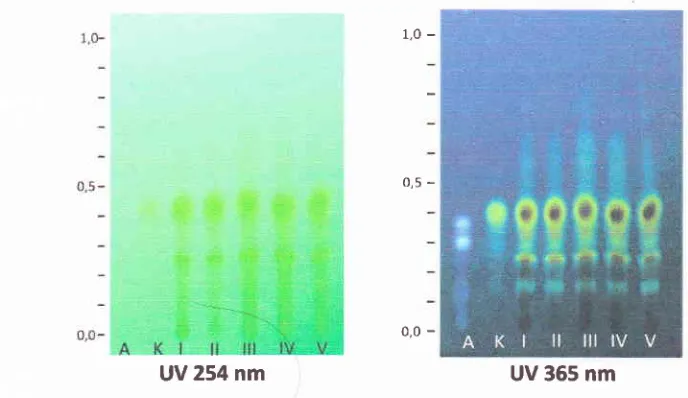 Gambar 10. Kromatogram dibawah sinar UV 254 & 365 nm dengan sampel simplisia