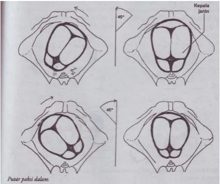 Gambar putaran paksi dalam 