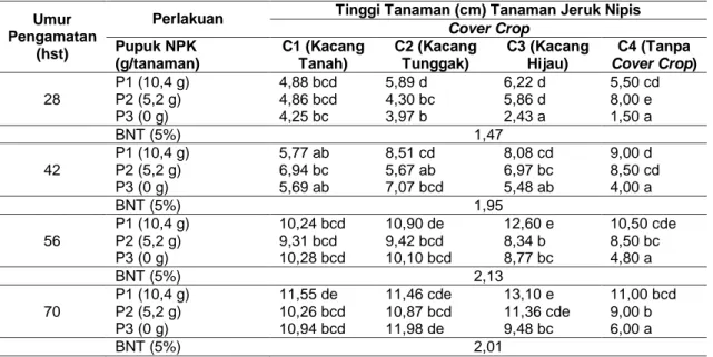 Tabel 1. Tinggi Tanaman Jeruk Nipis Pada Perbedaan Dosis Pupuk NPK dan Jenis Cover Crop  28, 42, 56 dan 70 hst  