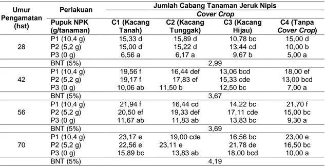 Tabel 2.  Jumlah  Cabang  Tanaman  Jeruk  Nipis  Pada  Dosis  Pupuk  NPK  dan  Jenis  Cover  Crop  28, 42, 56 dan 70 