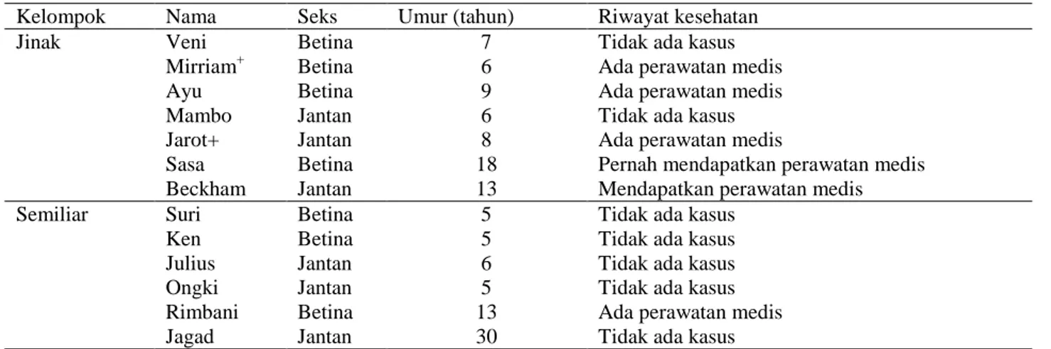 Tabel 1.  Individu orangutan ex-captive yang diamati  