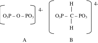 Gambar 1. Struktur gugus pirofosfat (A) dan metilen difosfonat (B). 